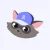 mapache2 mapache2